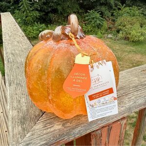 NEW The Farmhouse Frosted Orange Glass LED Pumpkin Decor 7.5”